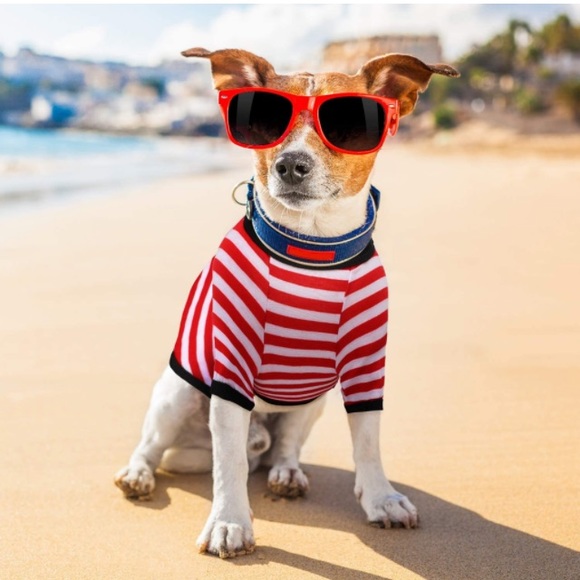 Other - 🐶2/$25 4 pieces Dog shirt striped Size large